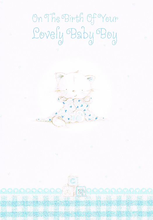 Baby Boy - Kitten