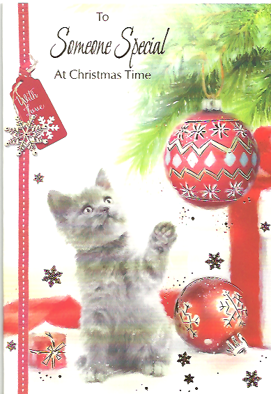 Someone Special Xmas Cat Bauble