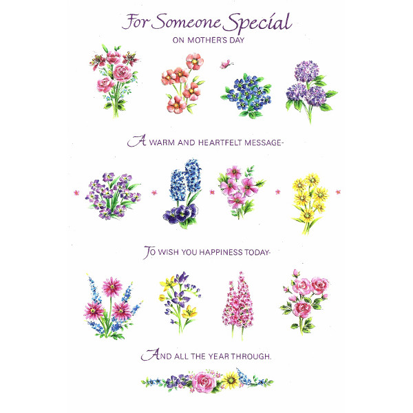 Mother's Day Someone Special - Lge Flowers
