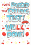 Passing Driving Test Male Well Done