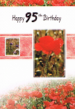 95th Birthday - Female Poppies