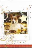 Blank Card - Brown Dog